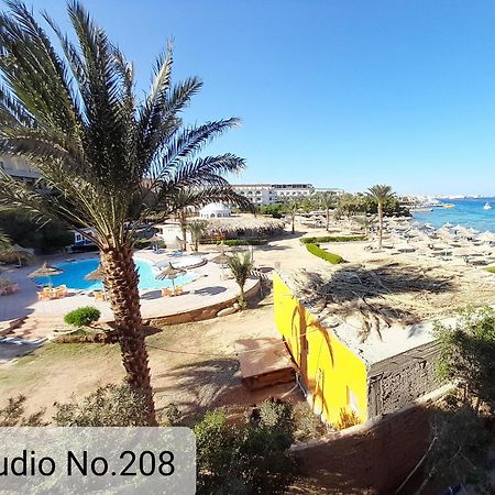 Alia Beach Residence Хургада Номер фото